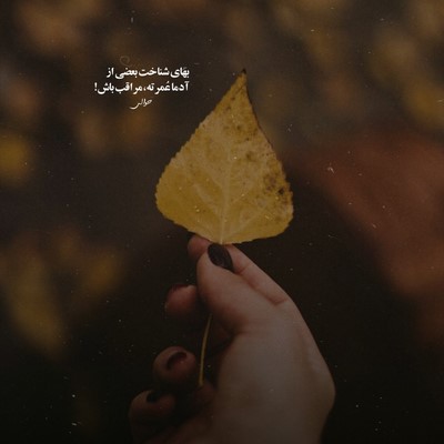 علی پرمهر سلام یتیر جان چاغیران جانلارا